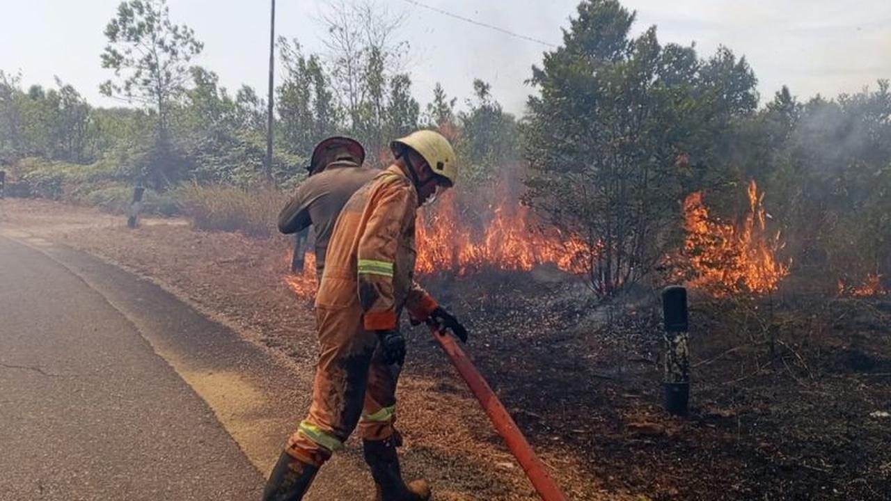 Damkar Bintan Berhasil Padamkan Kebakaran Lahan Empat Hektare di Teluk Sebong