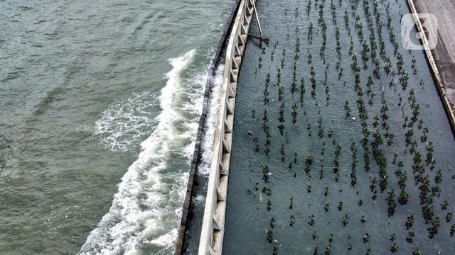 Waspada Banjir Rob di Pesisir Jakarta hingga Akhir Tahun