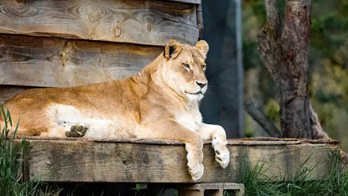 copyright pexels.com/pixabay