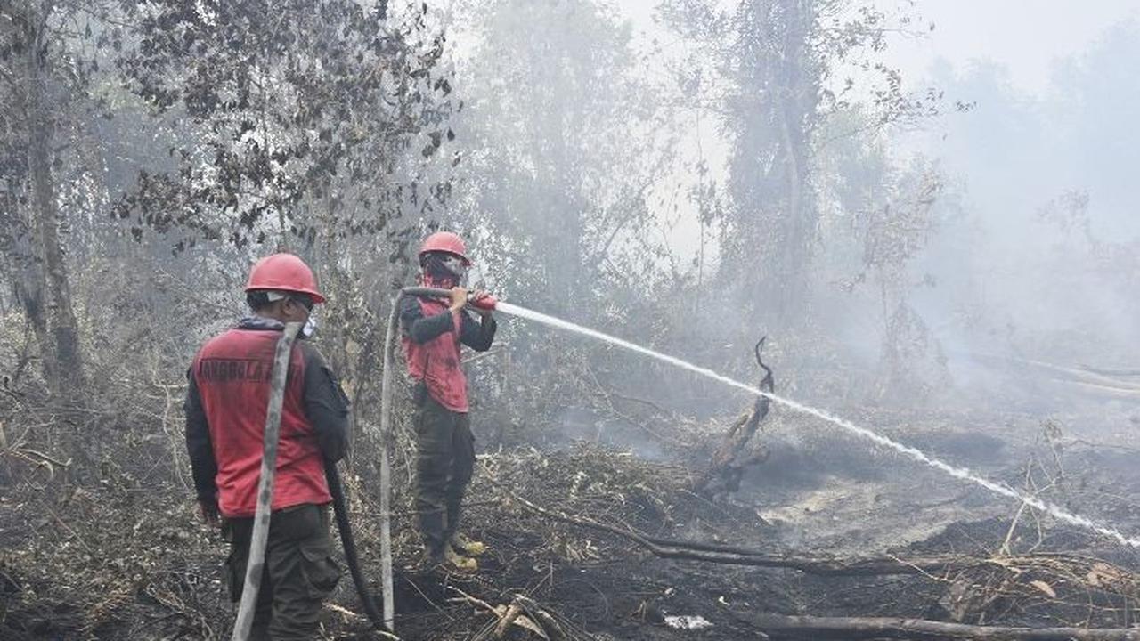 Provinsi Sumatera Selatan tengah dikepung kabut asap kebakaran hutan dan lahan (karhutla). Beragam upaya dilakukan untuk memadamkan api agar tidak meluas.