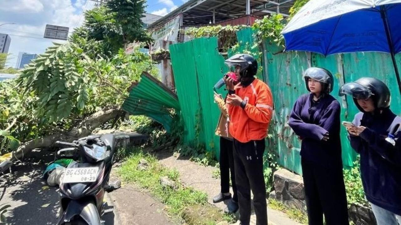 Insiden Pohon Tumbang Palembang Tewaskan Pengemudi Ojol, Pemkot Perintahkan Evaluasi Menyeluruh
