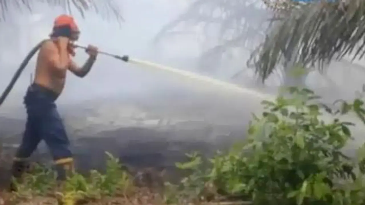20150803-Kebakaran Lahan-Riau