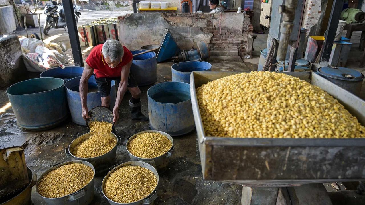 FOTO: Kenaikan Harga Kedelai Tekan Produksi Tahu di Jawa Timur