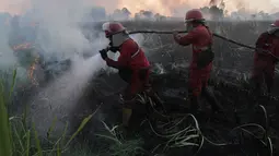 Petugas pemadam kebakaran membawa peralatan mereka saat berupaya memadamkan kebakaran lahan gambut di Palembang, Sumatra Selatan, Indonesia, Selasa, 11 Agustus 2026. (Foto AP/Muhammad Hatta)