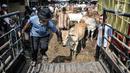 Pembeli mengangkut sapi ke dalam mobil pikap di Pasar Hewan Jonggol, Kabupaten Bogor, Jawa Barat, Kamis (7/7/2022). Harga hewan kurban di pasar ini cenderung lebih murah dari tempat lain, untuk sapi dijual kisaran Rp7 juta-Rp70 juta per ekor, sementara domba dibanderol mulai Rp1,5 juta-Rp6 juta per ekor. (merdeka.com/Iqbal S Nugroho)