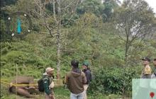 Gajah Sumatera Mati Tersengat Listrik, Konflik Gajah dan Manusia Kembali Terjadi di Aceh