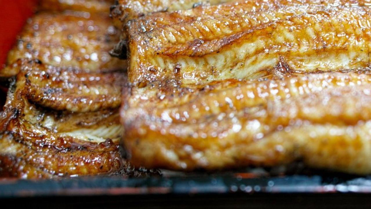 1. Unagi di Restoran Jepang Aslinya Bukan Belut, tapi Ikan Sidat