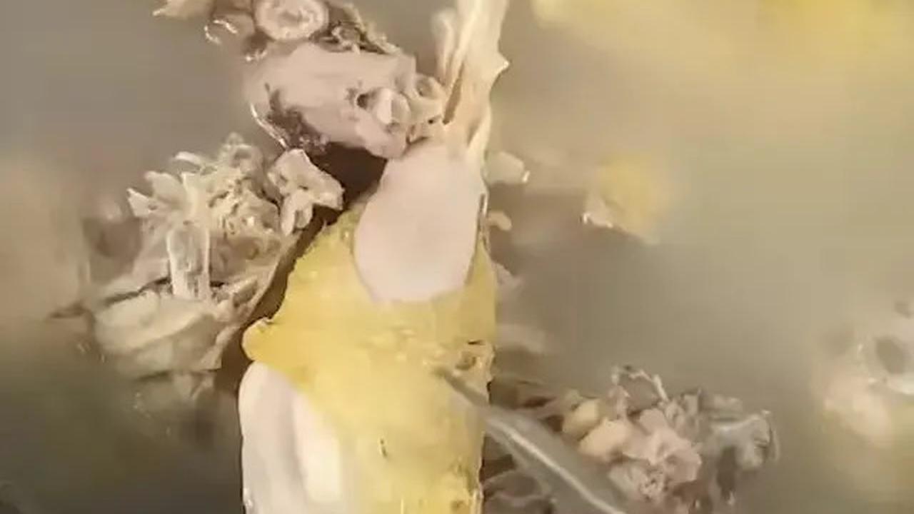 Cara Memasak Ayam Kampung Agar Empuk Tanpa Presto, Cukup Pakai Bahan Dapur Ini