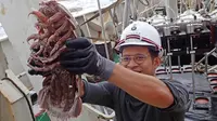 Salah satu anggota ekspedisi perairan dalam Laut Jawa, Muhammad Dzaki Safaruan, menunjukkan temuan raksasanya yang berasal dari jenis krustasea, atau hewan bercangkang (SJADES 2018)