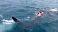 Tidak takut bahaya, anak laki-laki ini mencebur ke laut dan memegang sirip seekor hiu paus.