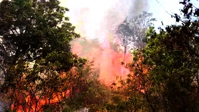 Gunung Ciremai terbakar