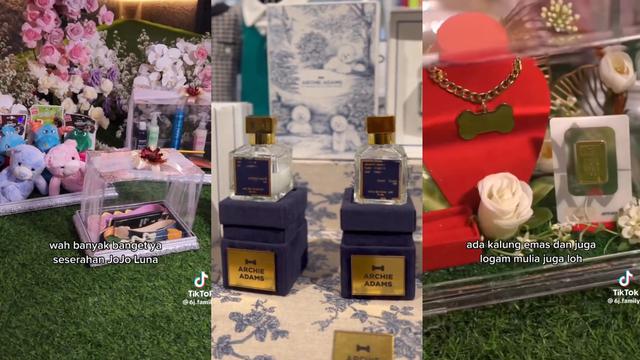 Jojo dan Luna, Anjing Tunangan Viral di TikTok