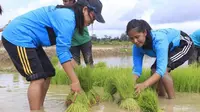 Kementan Terjunkan Milenial ke Kostratani
