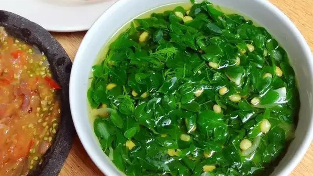 Resep Sayur Bening Daun Kelor yang Lezat dan Kaya Manfaat untuk Kesehatan