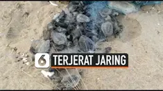 vertical jaring