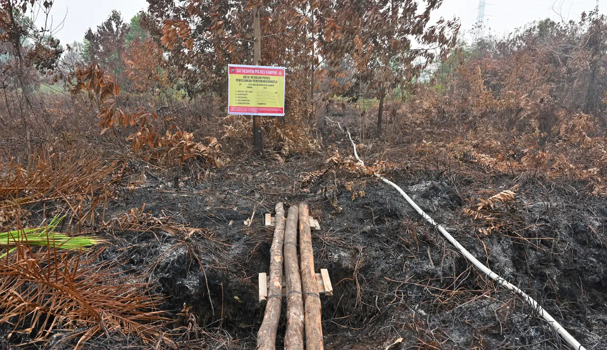 Kondisi lahan gambut yang terbakar di Kampar, provinsi Riau pada 17 September 2019. Kebakaran hutan dan lahan (karhutla) yang masih terjadi membuat sejumlah wilayah di Provinsi Riau terpapar kabut asap. (ADEK BERRY / AFP)