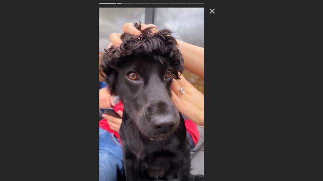 Cincin Tunangan Nicola Peltz