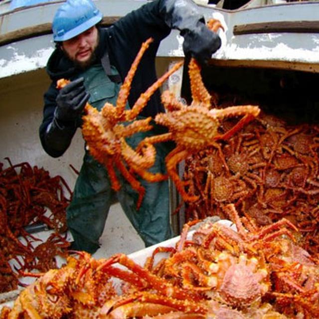 5 Pekerjaan Bergaji Tinggi Yang Taruhannya Nyawa Bisnis Liputan6 Com