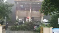 Pohon tumbang yang menimpa sebuah mobil jenis city car di kantor Kelurahan Kukusan, Beji, Depok.  (Foto: Istimewa)