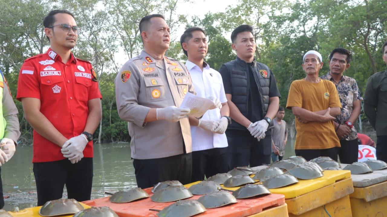 Polres Batu Bara Gagalkan Perdagangan Satwa Purba, 300 Belangkas Disita