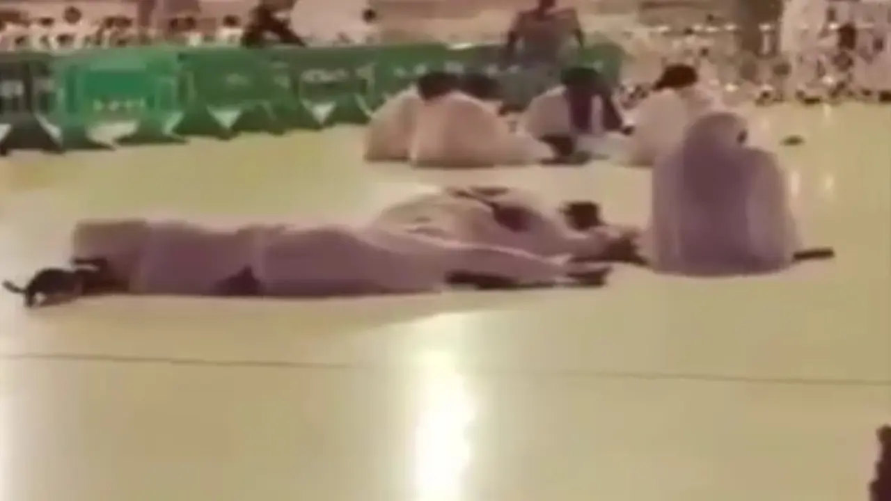 [Bintang] Kucing bangunkan orang tidur
