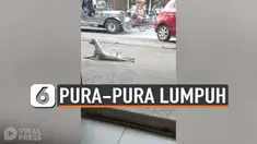PURA-PURA LUMPUH