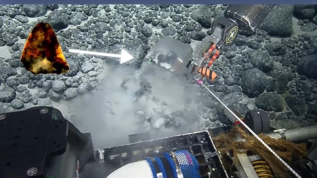 1. Penemuan Fosil di Wilayah Laut Dalam yang Terpencil&nbsp;<br>