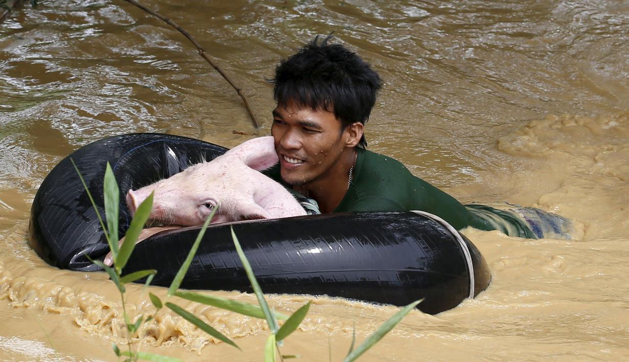 Seorang pria menyelamatkan hewan peliharaannya yang terkena banjir pasca bencana angin topan Koppu di Nueva Ecija,  Filipina, Senin (19/10/2015). Badai menyebabkan ratusan rumah hancur  dan 10.000 orang terpaksa mengungsi. (REUTERS/Erik De Castro)