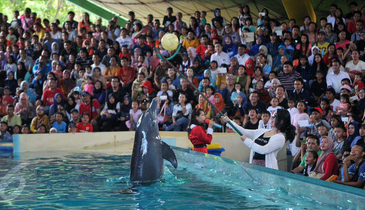 Atraksi Dolphin Christmas Show di Ocean  Dream Samudera Ancol, Jakarta, Jumat (25/15/2015). Pertunjukan tersebut diadakan dalam rangka menyambut libur Natal. (Liputan6.com/Gempur M Surya)
