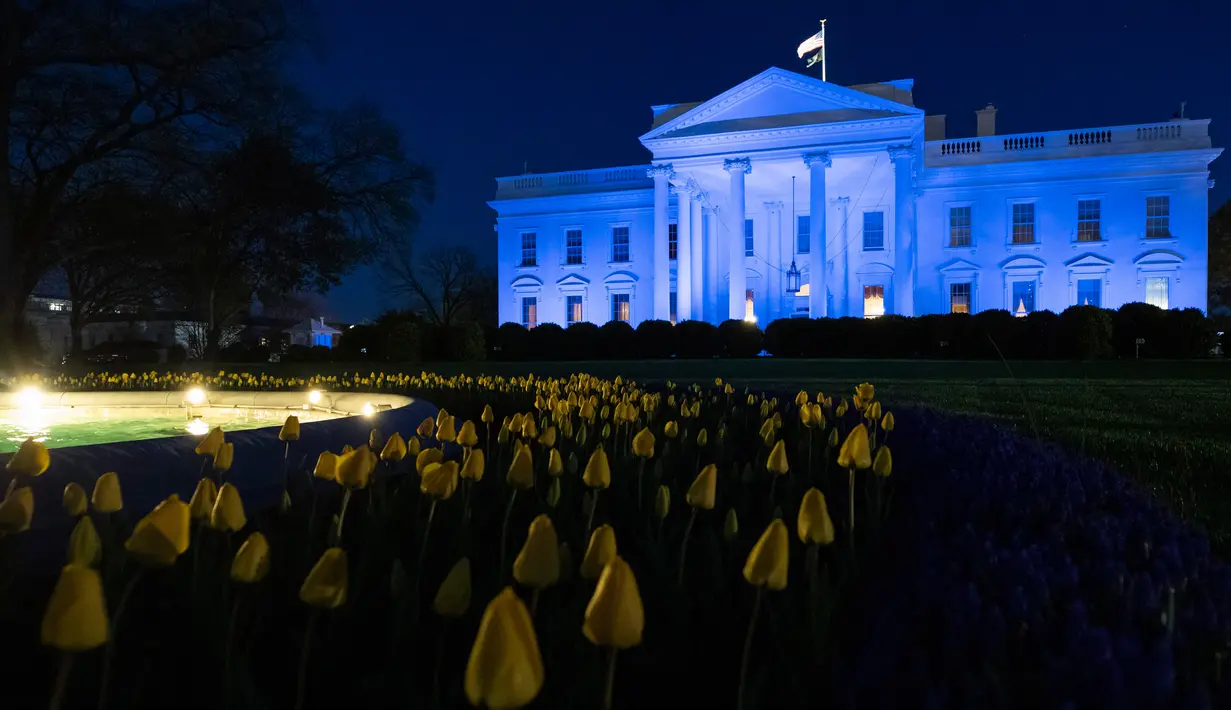 Gedung Putih diterangi dengan cahaya warna biru untuk menarik perhatian pada World Autism Awareness Day atau Hari Peduli Autisme Sedunia di Washington, Kamis (2/4/2020). Hari Peduli Autisme Sedunia jatuh setiap 2 April semenjak ditetapkan melalui sebuah resolusi PBB di tahun 2007. (AP/Alex Brandon)