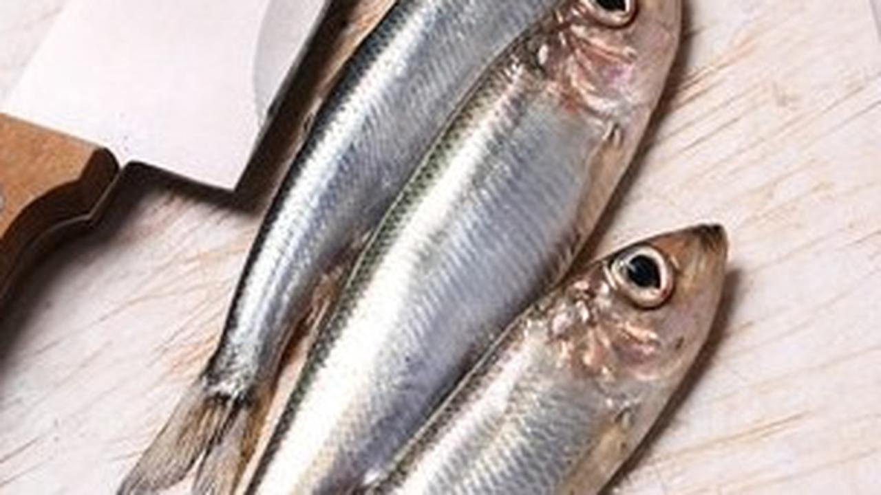 1. Ikan Sarden: Kalsium di Dalam Tulang