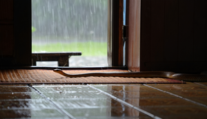 Ular Sawah Sering Masuk Rumah saat Musim Hujan (Foto: Reve Art AI)