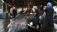 Sejumlah pihak masih melakukan perburuan paus dewasa ini, meskipun mendapatkan kecaman dari konservasionis dan aktivis hak-hak hewan (AFP Photo)