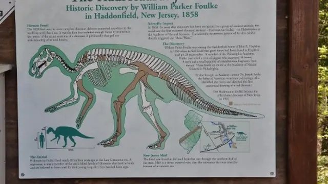 Dinosaurus