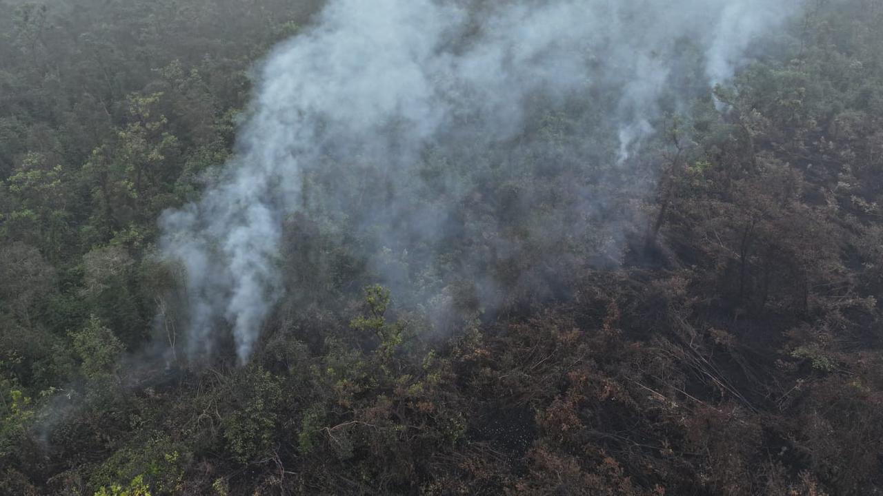 Sudah Diguyur Hujan Semalaman, Mengapa Kebakaran Hutan di OKI Belum Padam?