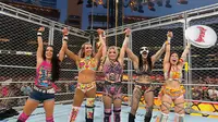 WWE Survivor Series: WarGames Drama to AJ Lee and Dominik Mysterio's Brilliant Victory