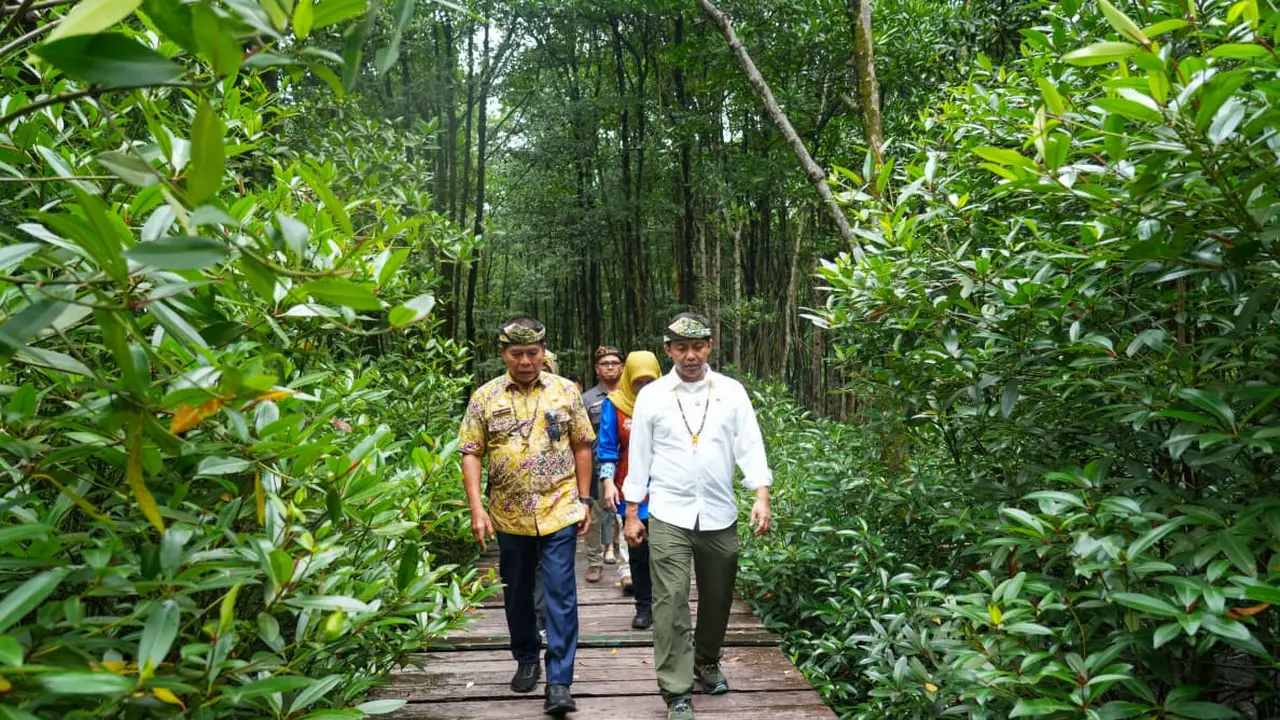 Menteri Kehutanan (Menhut) Raja Juli Antoni di Kawasan Konservasi Mangrove dan Bekantan, Kalimantan Utara (Istimewa)