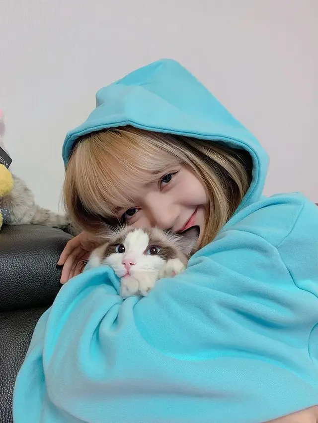 Hewan Peliharaan Idol