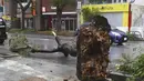 Topan kuat menghantam Okinawa dan pulau-pulau lain di barat daya Jepang Rabu dengan angin kencang yang melukai lebih dari 34 orang saat topan itu bergerak ke barat menuju daratan China. (Kyodo News via AP)