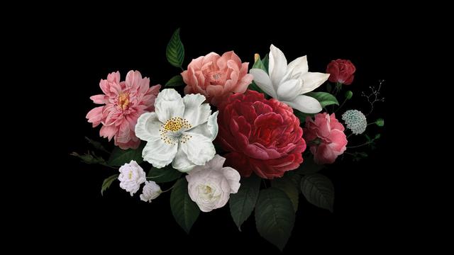 Ilustrasi dukacita, berduka