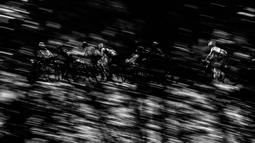 Para pebalap melintasi pepohonan pada etape kelima dengan jarak 216 km pada edisi 103 tahun Tour de France, (6/7/2016), melewati Limoges dan Le Lioran. (AFP/Jeff Pachoud)