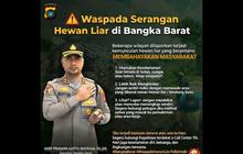 Polres Bangka Barat Rilis Peta Lokasi Rawan Buaya, Warga Diminta Waspada