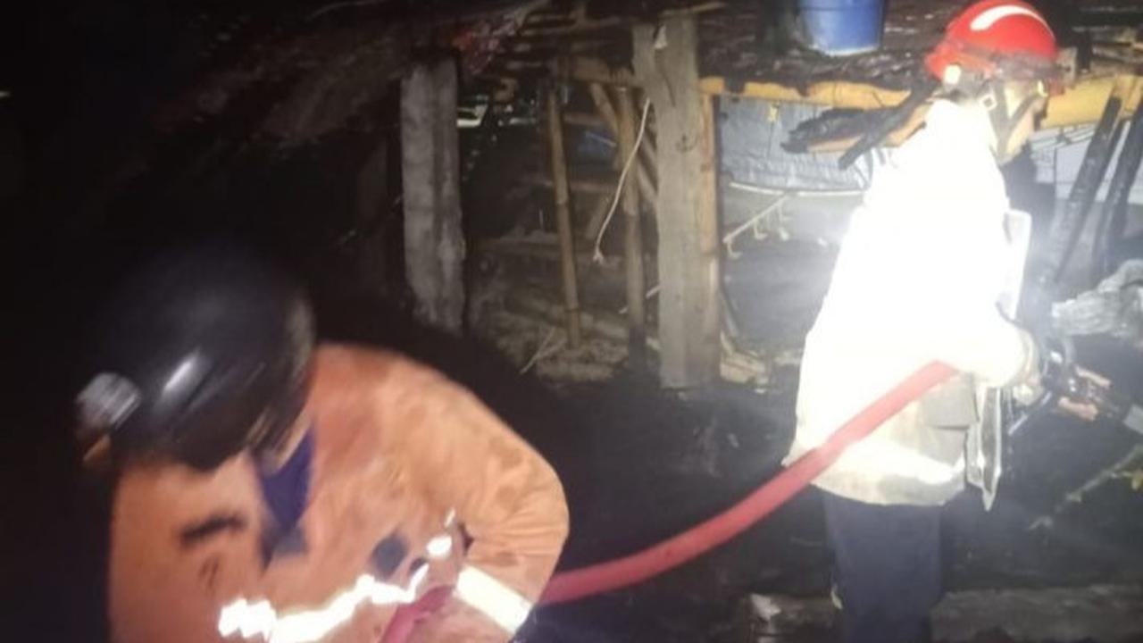 Ribuan Anak Ayam Mati Terpanggang, Sumber Api Diduga dari Pemanas di Kandang