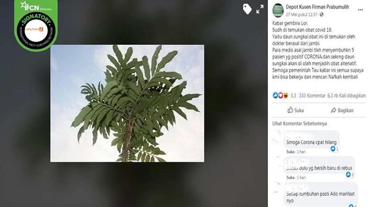 Gambar Tangkapan Layar Berita Tentang Virus Corona