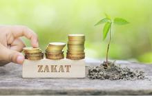 Menunaikan Zakat Mal, Meningkatkan Keberkahan Harta dan Pahala dalam Islam