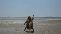 Penduduk dari Suku Mah Meri melakukan tarian selama ritual Puja Pantai di Pulau Carey, Kuala Lumpur, 9 Februari 2019. Melalui ritual tersebut mereka berharap mendapat restu dari roh laut agar memudahkan usahanya selama mencari ikan. (Mohd RASFAN/AFP)