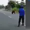 Hutan Terbakar, Orang Utan 'Mengungsi' ke Kantor Pemda