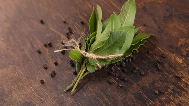 Biar Pulen dan Nggak Mudah Basi, Begini 5 Tips Memasak Nasi Menggunakan Rice Cooker