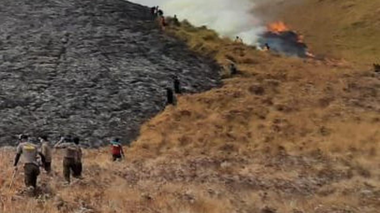 FOTO: Kondisi Terkini Bukit Teletubbies Bromo yang Terbakar Diduga Akibat Flare Prewed