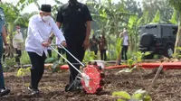 Wakil Presiden RI, KH Ma'ruf Amin saat kegiatan menanam jagung kedelai di Kabupaten Purwakarta, Senin, 28 Maret 2022.